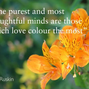 Colour Quote