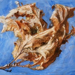 Study of a Spray of Dead Oak Leaves - John Ruskin, 1879
