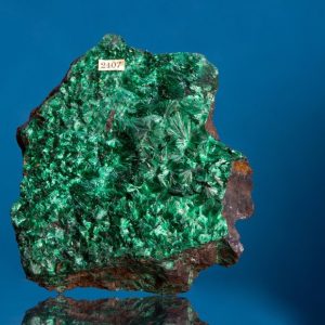 Malachite from the John Ruskin Mineral Collection